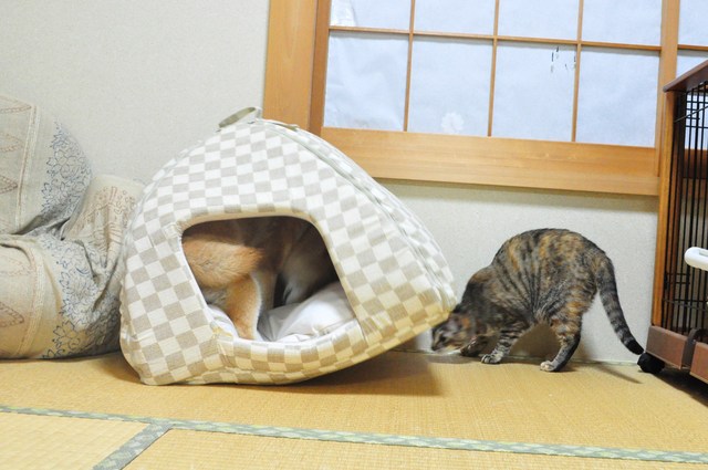 7年の時を経て_a0126590_23141677.jpg
