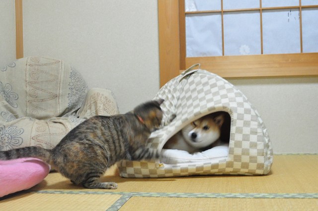 7年の時を経て_a0126590_2316523.jpg