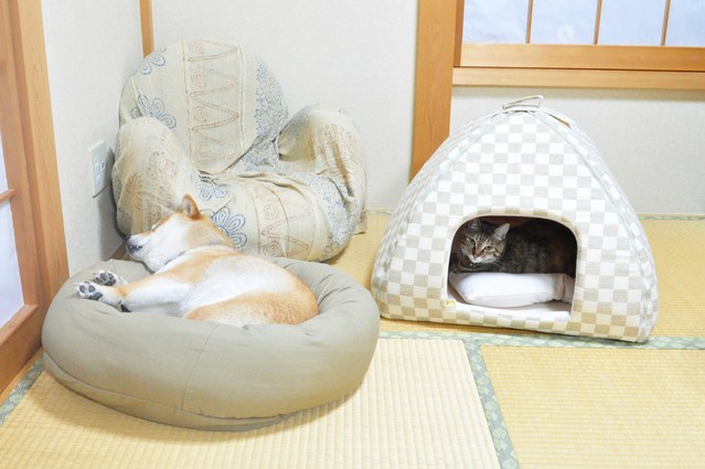 7年の時を経て_a0126590_23182271.jpg