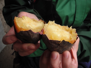 a0137192_04182.jpg