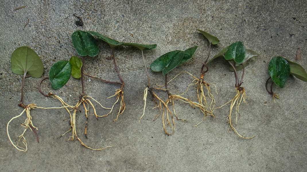 a0152692_1314052.jpg