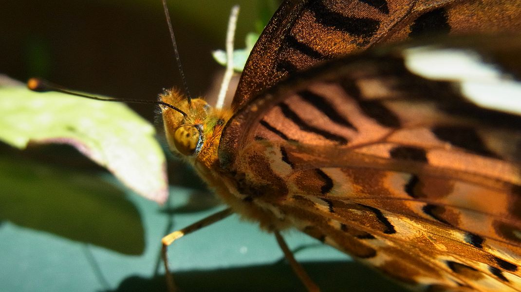 a0152692_18211183.jpg