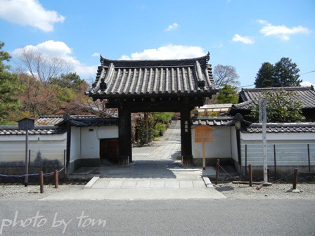 京を歩く～洛中\"大河ドラマ「江」の寺\"養源院_b0155692_1936045.jpg