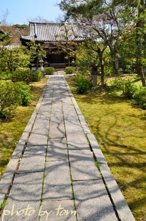 京を歩く～洛中\"大河ドラマ「江」の寺\"養源院_b0155692_2014476.jpg