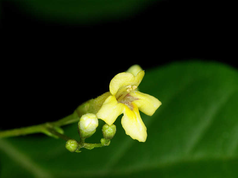 f0204094_12132624.jpg