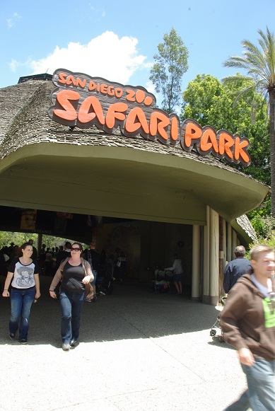 SAFARI PARK_f0038904_8463879.jpg