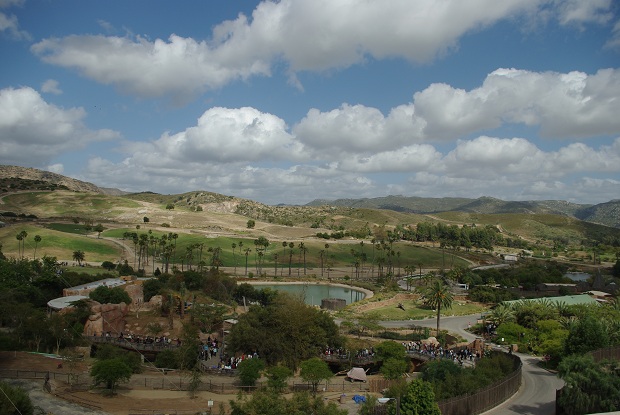 SAFARI PARK_f0038904_915861.jpg