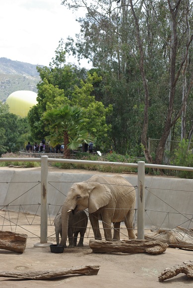 SAFARI PARK_f0038904_96529.jpg