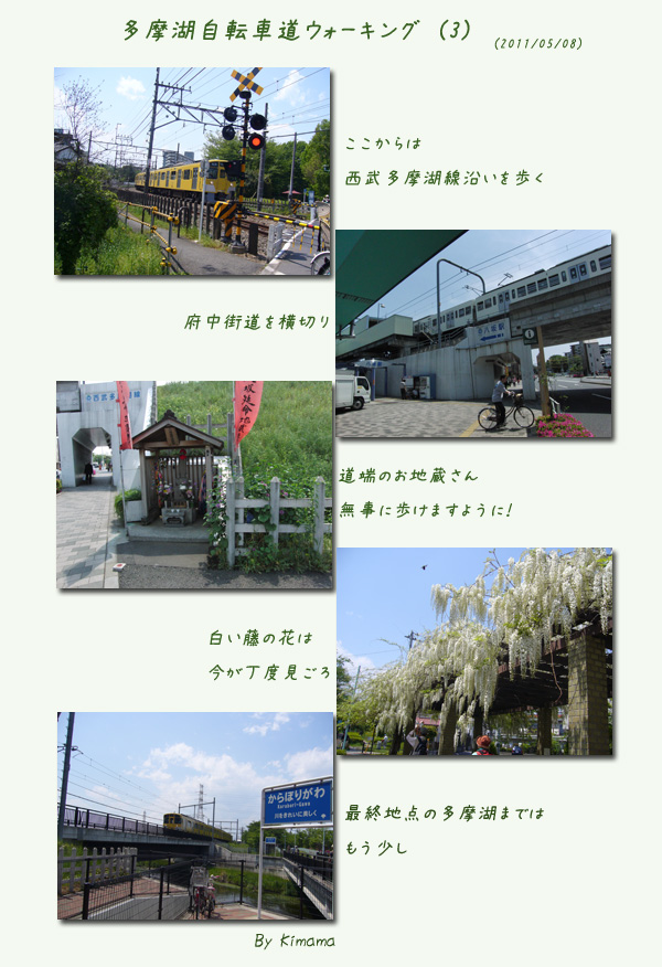 c0051105_12523.jpg