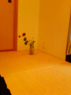 茶花体験_f0035506_8552642.jpg