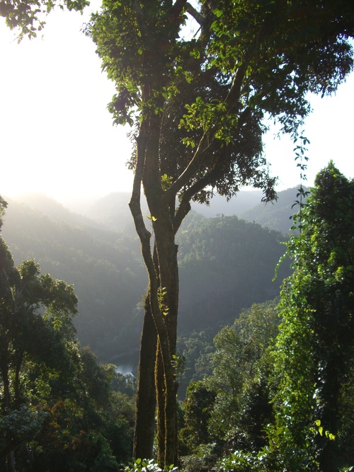 パロネラパークと熱帯雨林_d0116009_228777.jpg