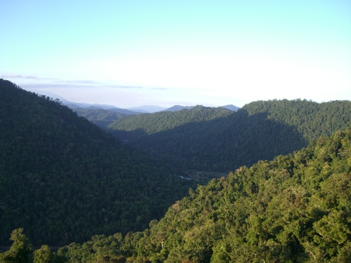 パロネラパークと熱帯雨林_d0116009_2305372.jpg