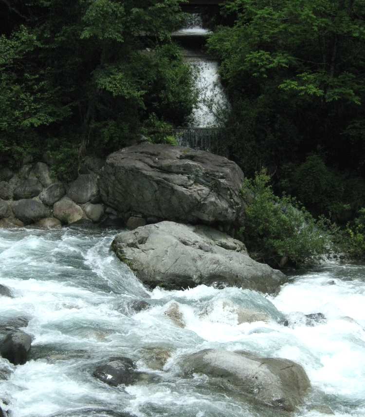 e0003910_18552187.jpg