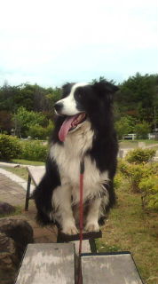 f0148410_03887.jpg