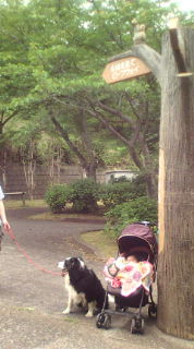 f0148410_041892.jpg