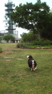 f0148410_043198.jpg