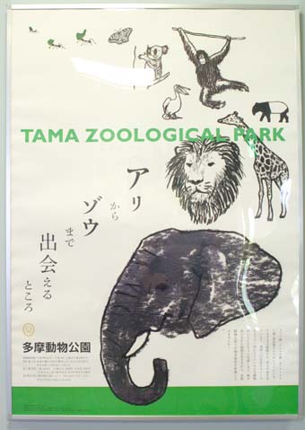 多摩動物園_a0166313_2220563.jpg