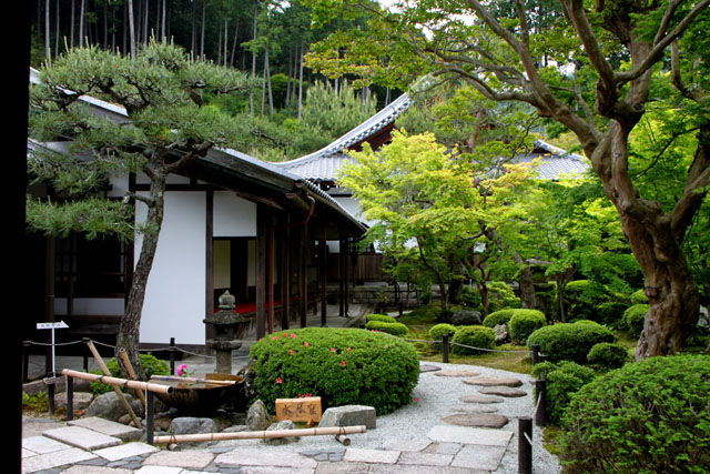 園光寺 青もみじ_e0048413_1849102.jpg