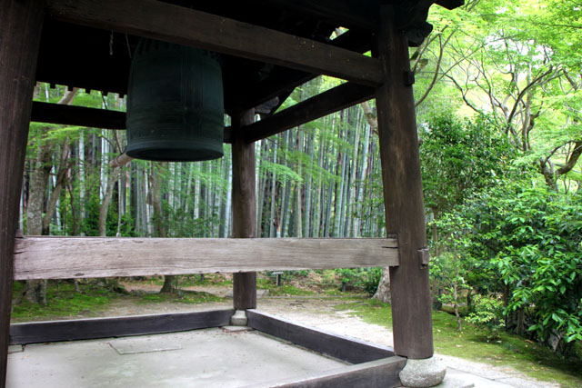 園光寺 青もみじ_e0048413_18493162.jpg