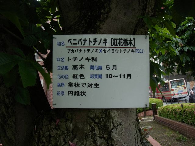 c0025115_19484785.jpg