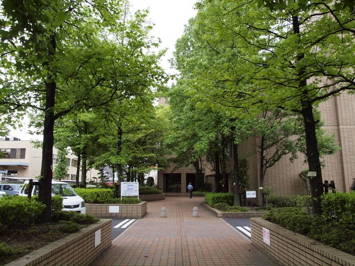 佐伯区民文化センターと公園の緑_c0116915_23301520.jpg