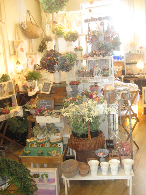c0085916_382370.jpg