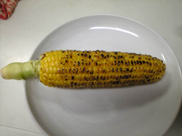 c0003217_17522923.jpg