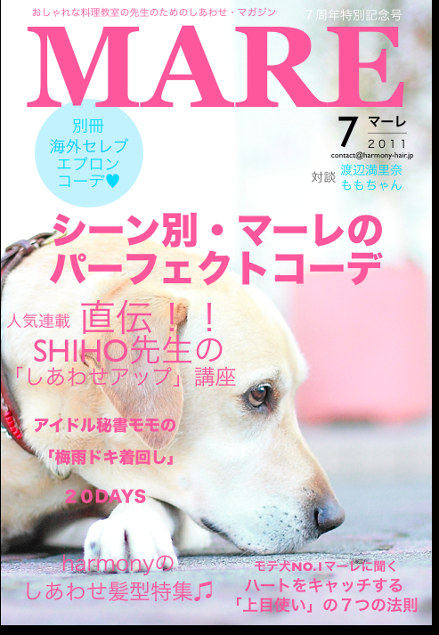 もっと、しあわせになれる雑誌_c0222817_23204198.jpg