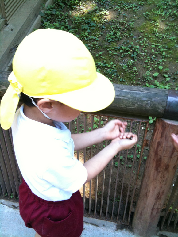 親子遠足_a0126418_16251654.jpg