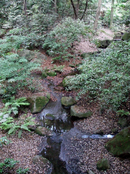 c0135618_2384557.jpg