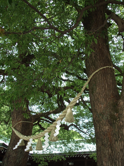 c0135618_2385292.jpg