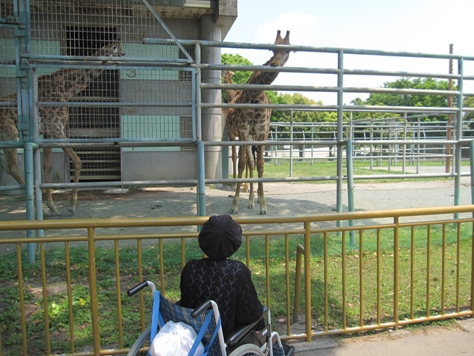 熊本市動植物園見学_b0113820_13311366.jpg