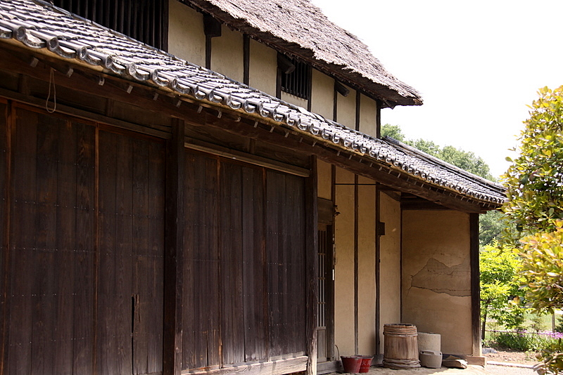 b0165522_75537.jpg