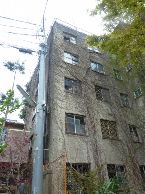 弟よ。_b0209132_1840594.jpg