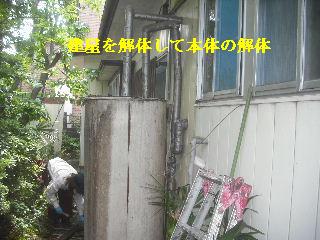 走りまわる・・・_f0031037_21313910.jpg