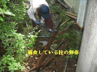 走りまわる・・・_f0031037_21315482.jpg