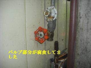 走りまわる・・・_f0031037_21323571.jpg