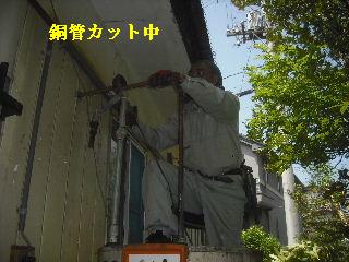 走りまわる・・・_f0031037_21332138.jpg