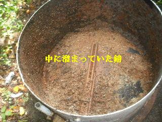 走りまわる・・・_f0031037_2136135.jpg