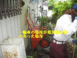 走りまわる・・・_f0031037_21372150.jpg