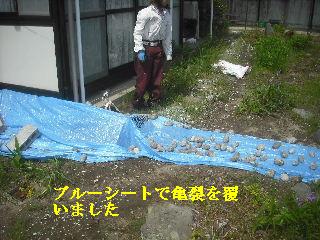 走りまわる・・・_f0031037_21452615.jpg