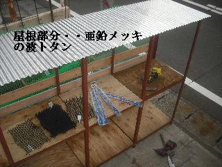 走りまわる・・・_f0031037_21504874.jpg