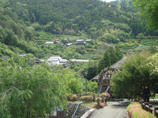 e0060041_2163386.jpg