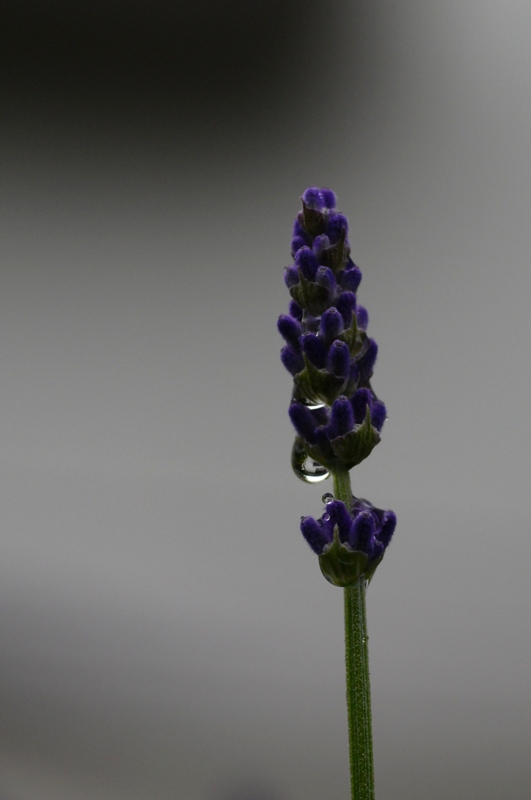 e0095142_20455160.jpg