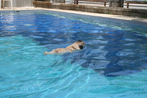 e0018143_041277.jpg