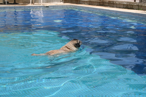 e0018143_041640.jpg