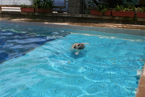 e0018143_0425777.jpg
