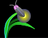 a0029347_7542556.gif