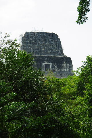 c0011649_8295798.jpg