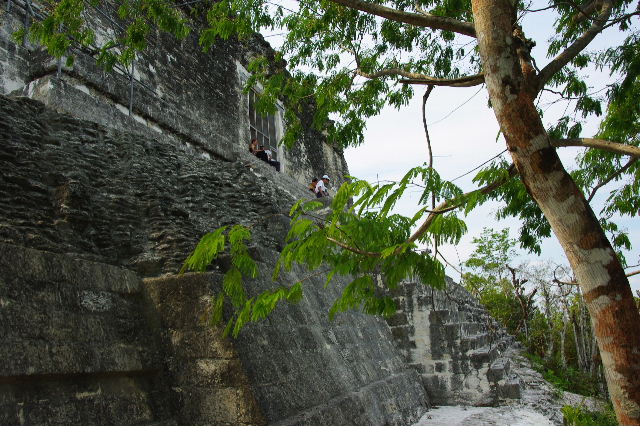 c0011649_834225.jpg